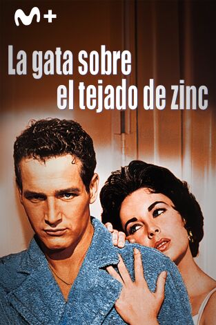 La gata sobre el tejado de zinc