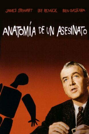 Anatomía de un asesinato