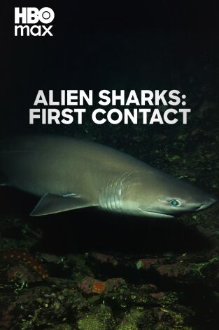 Tiburón alien: primer contacto