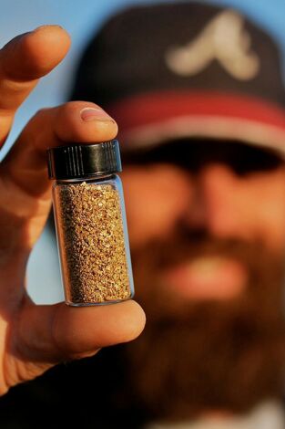 La pesca del oro: Desarmonización perfecta