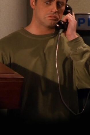 Friends (T5): Ep.22 El del primer éxito de Joey