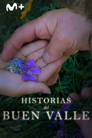 Historias del buen valle