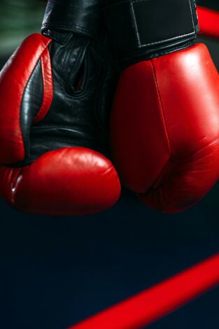 Boxeo: combate Trevor Berbick vs Mike Tyson