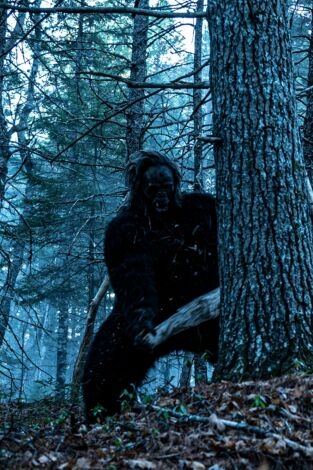 El triángulo de Alaska: La isla del Bigfoot