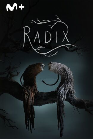 Radix