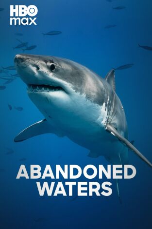 Abandoned Waters