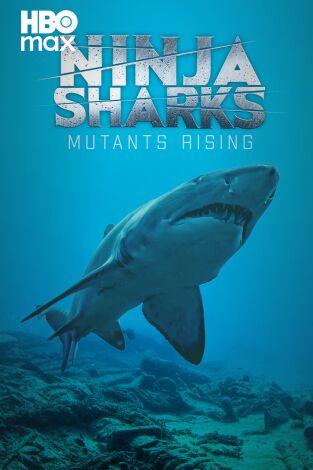 Tiburones ninja 2