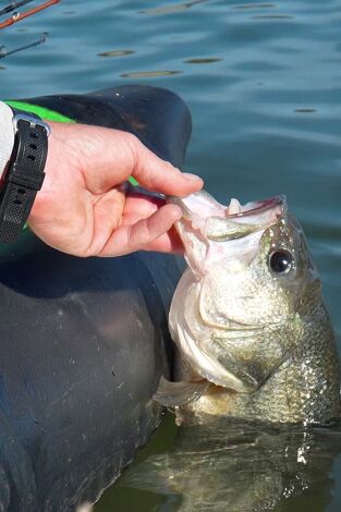 Tras el bass, raspando fondo