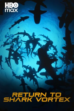 Nueva alerta, tiburones