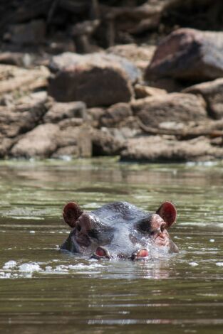 Boteti: el río de la vida: Línea de vida