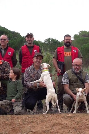 Campeonato autonómico de CLM de trabajo para podenco, maneto y orito español