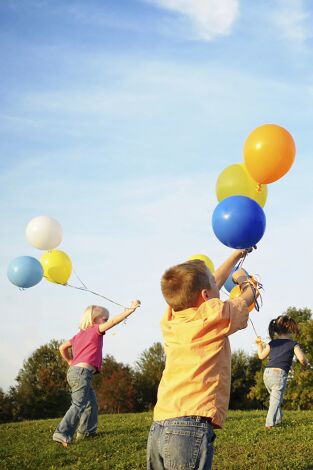 El Mic i els seus amics
