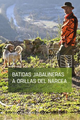 Batidas jabalineras a orillas del Narcea