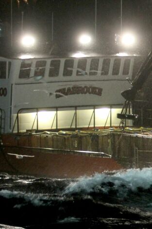 Pesca Radical: Las secuelas