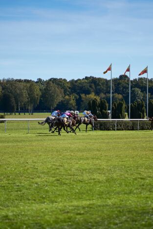 Liga Nacional de Saltos ecuestres (T2026): Hipódromo de Sanlúcar. 09/08/2026