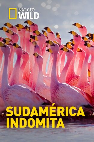 Sudamérica indómita