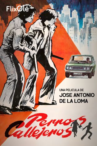 Perros callejeros