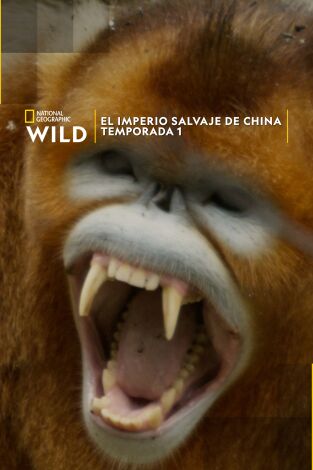El imperio salvaje de China: Los intrépidos elefantes de Yunnan
