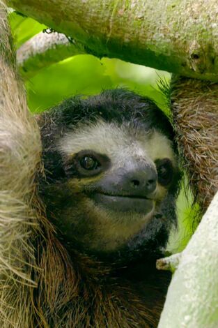 Hotspots: Madagascar