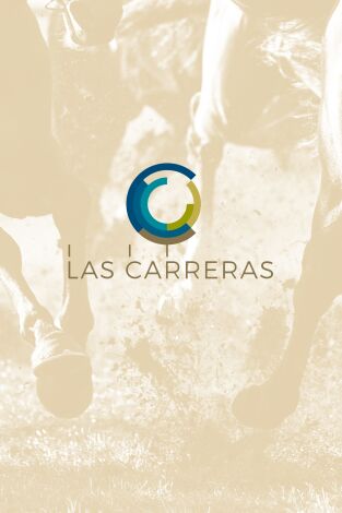Carreras de Caballos- Turf (T2026): 12/08/2026 Hipódromo de San Sebastián