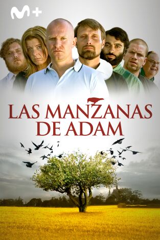 Las manzanas de Adam
