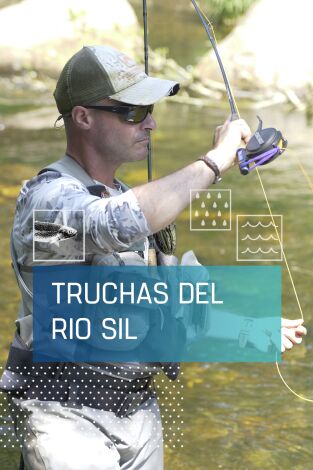 Truchas en el río Sil