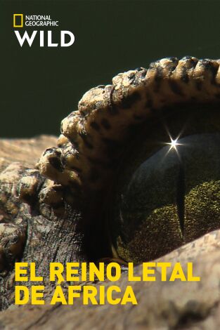 El reino letal de África: Praderas
