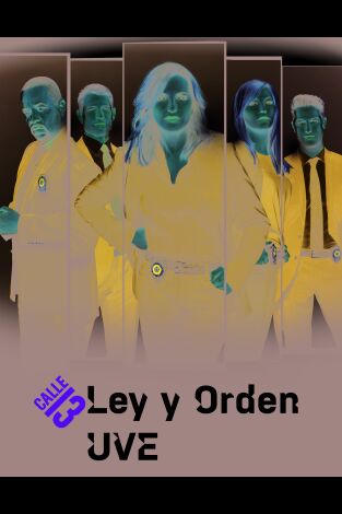 Ley y orden: unidad de Víctimas Especiales (T20): Ep.20 La buena chica
