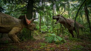 Extras de Caminando entre dinosaurios: Últimos días