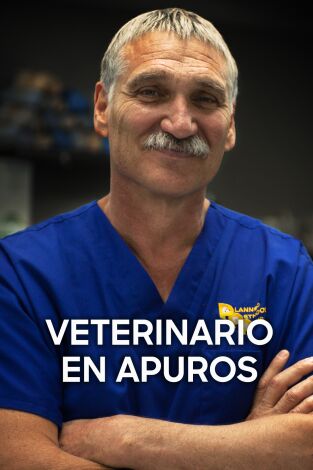 Veterinario en apuros: Amigos para toda la vida