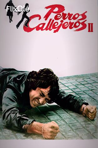 Perros callejeros 2