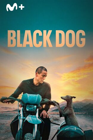 Black Dog