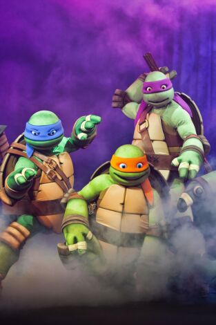 Les Tortugues Ninja
