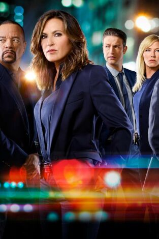 Ley y orden: unidad de víctimas especiales (T19): Ep.10 Patológico