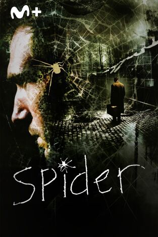 Spider