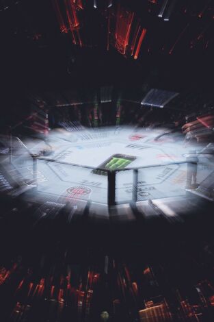 Dana White's Contender Series (T2026): 14/08/2026