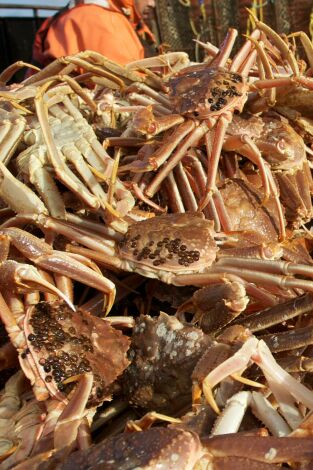 Pesca Radical: Sin acceso al mar