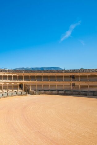 Previo toros