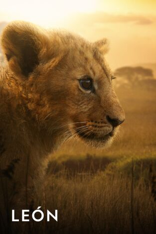 León: Capítulo dos: Hermanos de sangre