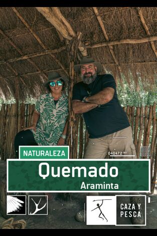 Quemado: Araminta