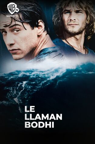Le llaman Bodhi
