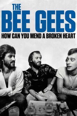Nits Sense ficció: The Bee Gees: How Can You Mend a Broken Heart