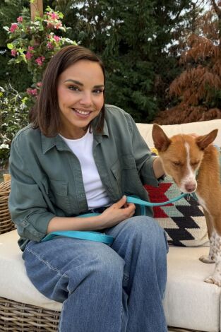 Dog House: Episodio 6