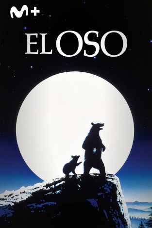 El oso