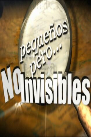 Pequeños, pero no invisibles