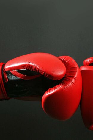 Boxeo: combate Ruddock vs Dokes