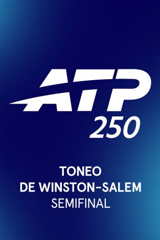 Torneo de Winston-Salem. ATP 250: Semifinal 2