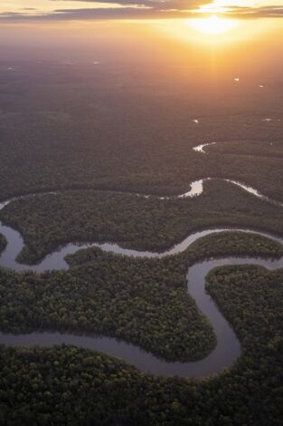Amazonia americana: Ríos secretos
