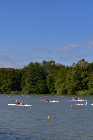 Mundial de piragüismo esprint en aguas tranquilas (T2026): Finales