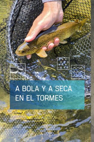 A bola y a seca en el Tormes